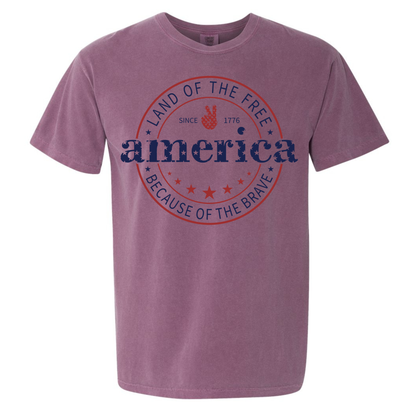 America- Land of the Free Because of the Brave- Gildan Softstyle 64000 /Comfort Colors 1717-T-Shirts-DTF