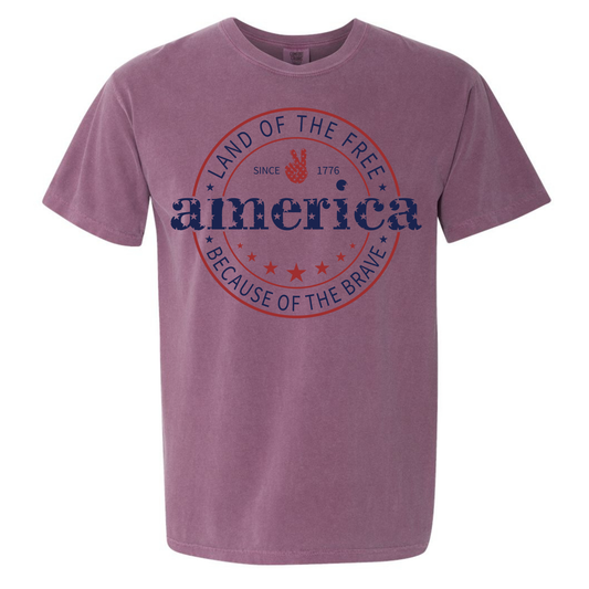 America- Land of the Free Because of the Brave- Gildan Softstyle 64000 /Comfort Colors 1717-T-Shirts-DTF
